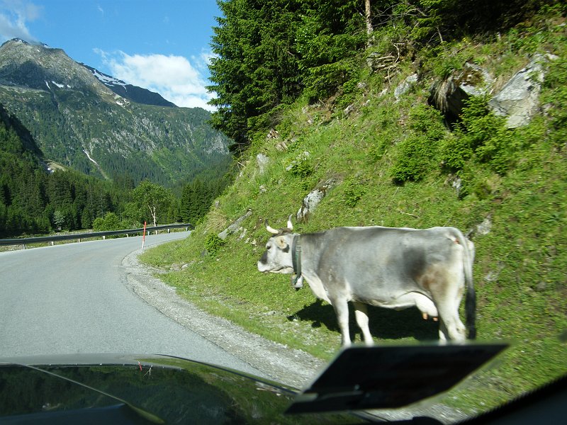 Alpy12-14.06.09 018.jpg